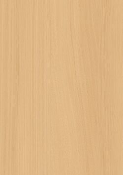 耐磨耗化粧合板 アイカマーレスボード プレミアムテクスチャー　木目 BBQ12032 ３ｘ６ エルム/追柾