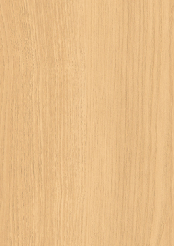 粘着材付メラミンシート メラタック　木目 GTB12021RTY98 ４ｘ８ アッシュ/追柾