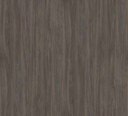 ポリエステル化粧合板 ラビアンポリ 木目 LP-18350 ４ｘ８ オーク/板目