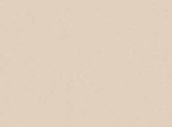 メラミン化粧板 セルサス TJY10281K ４ｘ８ パウダーレザー