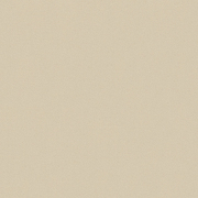 鏡面ポリエステル化粧ＭＤＦ アイカハイグロスポリ 単色 MR-6202 ４ｘ８