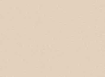 メラミン化粧板 セルサス TJY10281K ４ｘ８ パウダーレザー