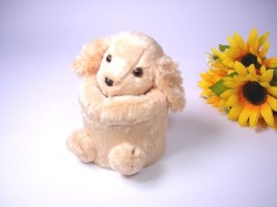 �ᥬ�ͥ���������120020