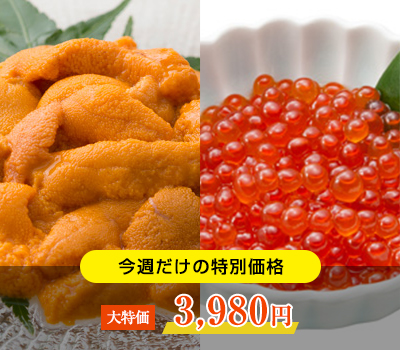 . 【2/28～3/5までのご注文限定】塩水うに（エゾバフン）90g＋いくら正油漬（昆布だし）170g