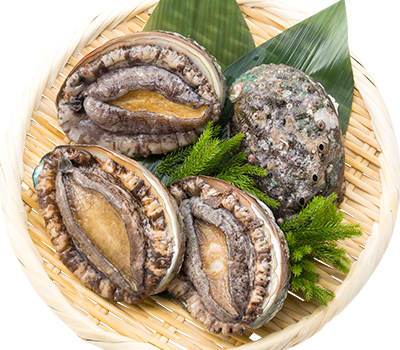 蝦夷あわび