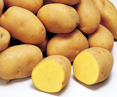 インカのめざめ 10kg/常温商品/送 料 込 み