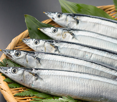 生秋刀魚(サンマ) 3尾/冷蔵商品