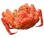 タラバガニ姿