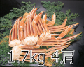 ������̵����3) �˾����ܥ��磻���� ���祵���� 1.7��� 4����5�̡�
