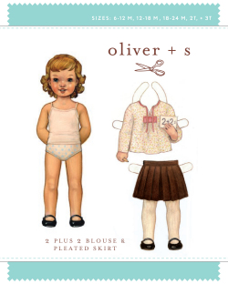 2 Plus 2 Blouse and Pleated Skirt