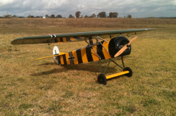 Fokker D8���ʥ���������