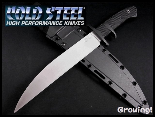 �ʥ��ե���åס����������󥰡�