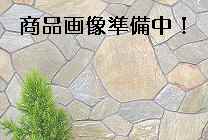�������ʲ�����������Ƥ��ޤ������Ф餯���Ԥ�����������