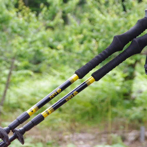 トレッキングポール