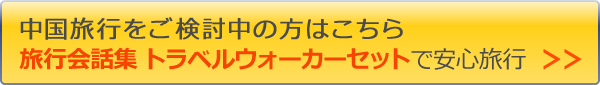 トラベルウォーカー + PDAのページへ