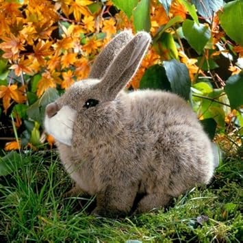 ウサギ・座り（ベージュ） 【正規輸入品】【20％OFF】【送料当店負担】【在庫有】