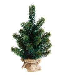 RSグローバル トレード社 （PLASTIFLOR・プラスティフロアー社・輸出