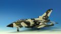 �ѥʥӥ��ȡ��͡��� GR1 �Ѷ��� ��2��AC�������� �Υ륦���� 1995ǯ
