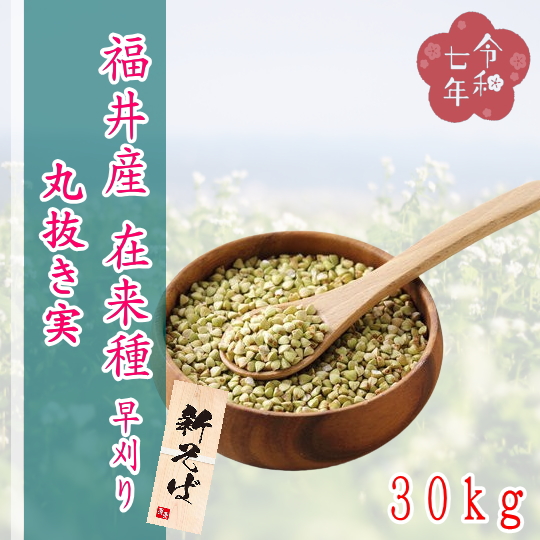 令和7年産!!福井県産在来種・丸抜き【30kg】5kg×6