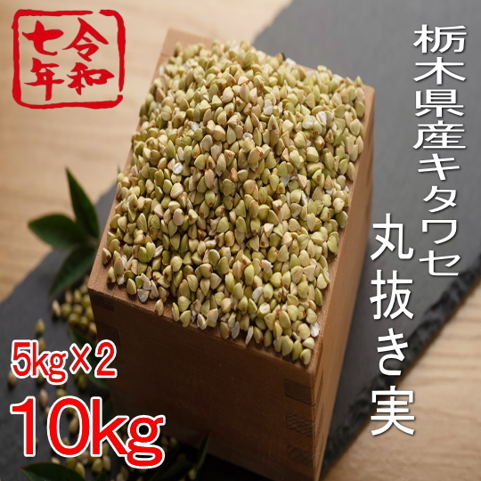 令和７年産夏!!栃木県産キタワセ・丸抜き実【10kg】5kg×2