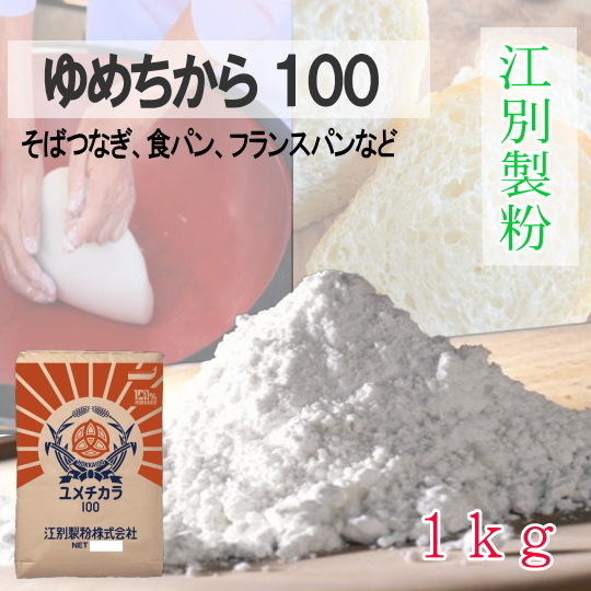 江別製粉・北海道ゆめちから100【1kg】