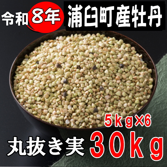 令和8年産新そば!!北海道浦臼町産牡丹・丸抜き実【30kg】5kg×6