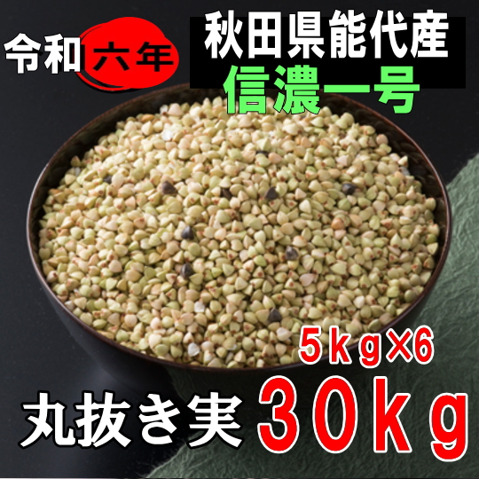 令和6年産!!秋田県産・信濃一号丸抜き実【30kg】5kg×6