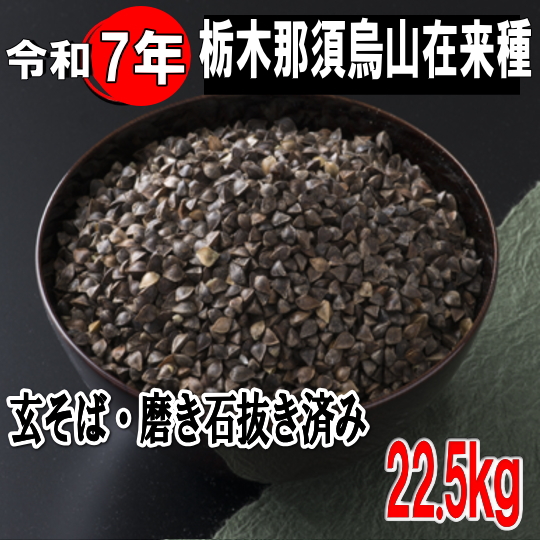 令和7年産!!栃木県那須烏山産在来種・玄そば磨き石抜き済み1等品【22.5kg】
