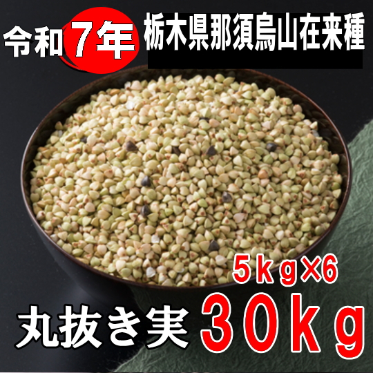 令和7年産!!栃木県那須烏山在来種・丸抜き実【30kg】5kg×6