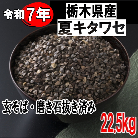 令和７年産!!栃木県産キタワセ・玄そば磨き石抜き済み【22.5kg】