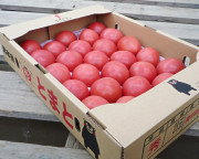 ͭ����ڡ��ȥޥȡ�3kg��25��30�̡���̳�ѡ�