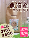 �л���ˤ��ν��� MY BABY����:3101��3400g