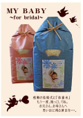 �뺧����ξ�ƤؤΥ��ץ饤�����եȡ��ν��ơ��ͣ١��£��£١��£�����