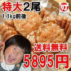 �Ӥ��ˡ��̳�ƻ�����ӥ��ˡ���