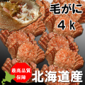 �Ӥ��ˡ��̳�ƻ����
