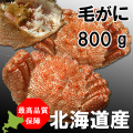 �Ӥ��ˡ��̳�ƻ�����ӥ���
