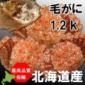�ӥ��ˡ��̳�ƻ��