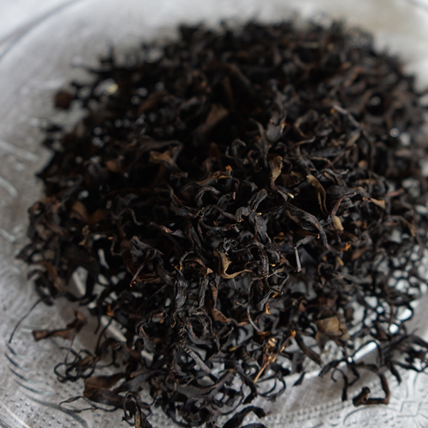南山城紅茶実生在来