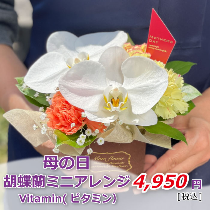 胡蝶蘭ミニアレンジ ビタミン 価格