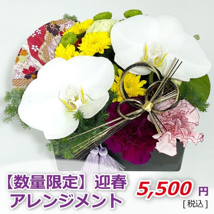 迎春アレンジメント 価格