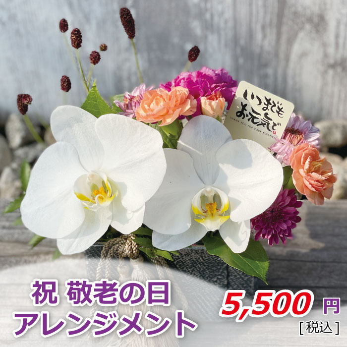 祝敬老の日アレンジメント 価格