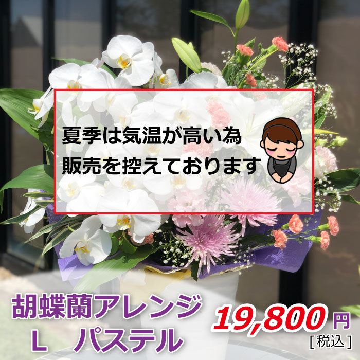 夏季販売控え アレンジ
