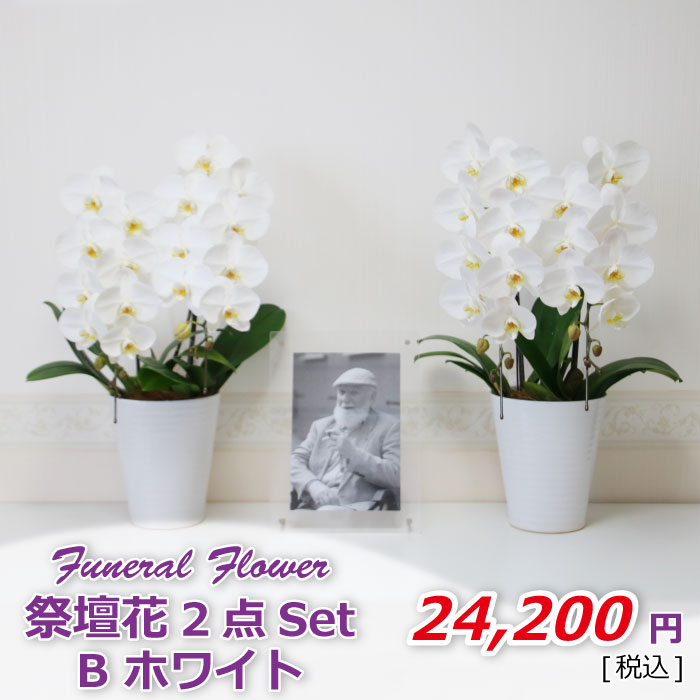 祭壇花2セットBホワイト(税込)