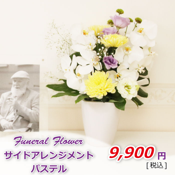 サイドアレンジパステル(税込)