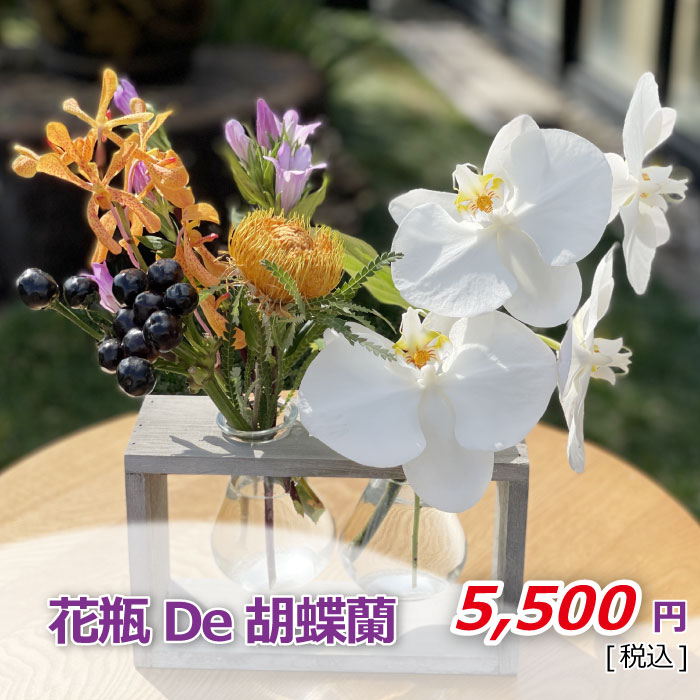 胡蝶蘭アレンジ 花瓶De胡蝶蘭 価格