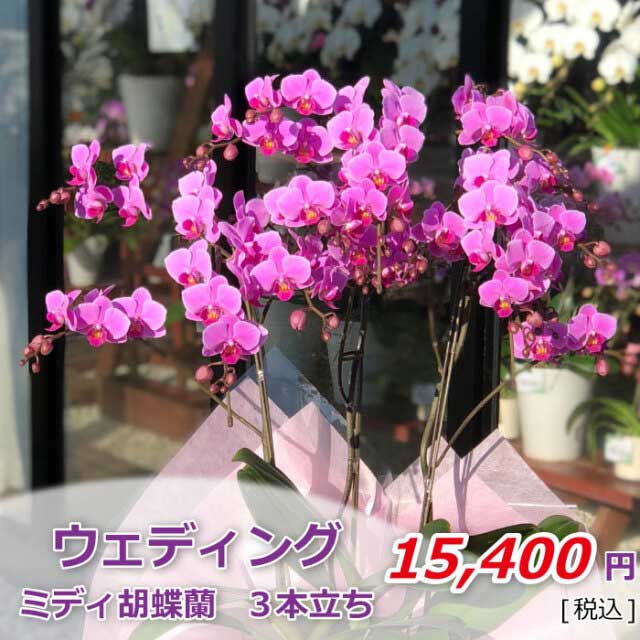 ウェディング3本(税込)