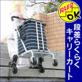 �ʺ��餯�餯����꡼�����ȡʥ���åԥ󥰥Хå��ա�