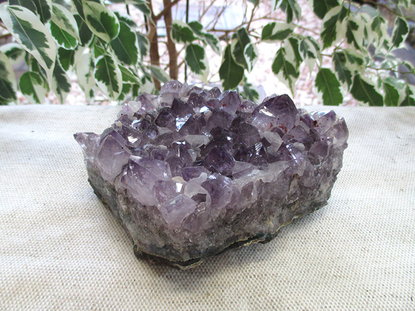アメジスト 原石 クラスター 紫水晶 天然石専門店 販売/鬮石