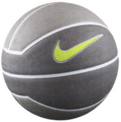 NIKE(ナイキ)　バスケットボール　レブロン １０ プレイグラウンド　BB0505