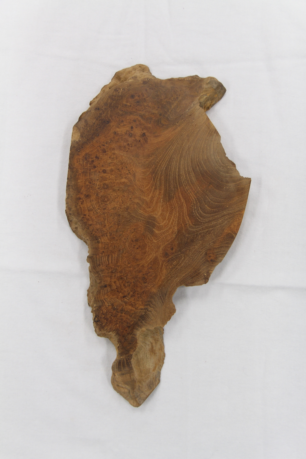 【鳥眼杢】 チーク 極上 386x196x24